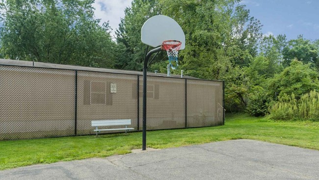 Cancha de básquetbol - Timberline Estates