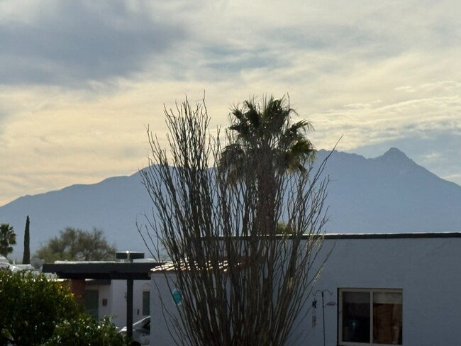 Foto del edificio - 348 W Via Del Heroe