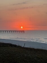 Building Photo - 9722 Misty Meadow Ln