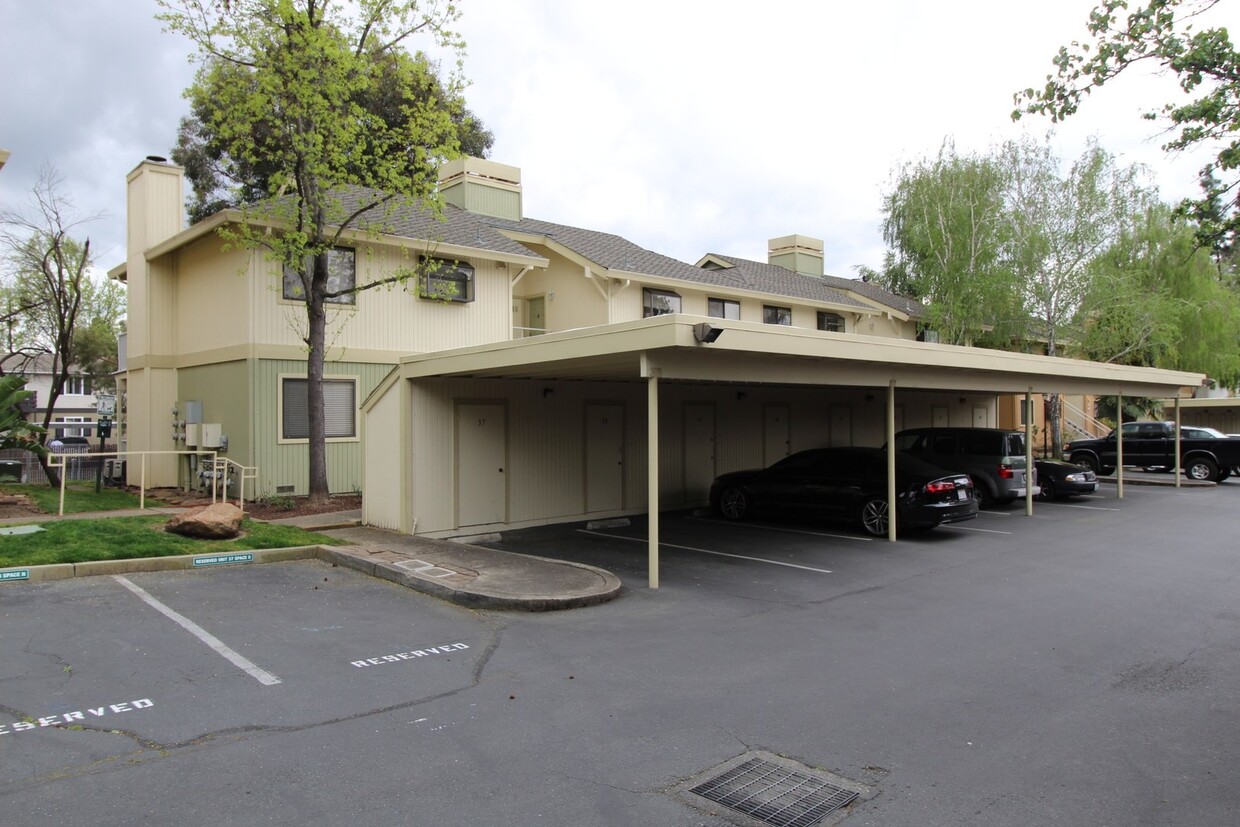 Foto principal - Concord Beautiful 1 bedroom 1 bath condo u...