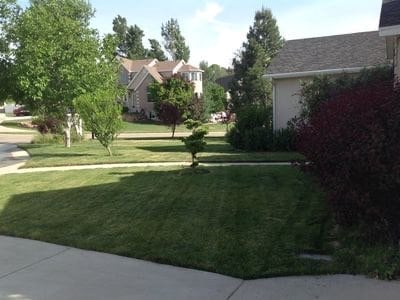 Building Photo - 12481 S Allison Pk Ct