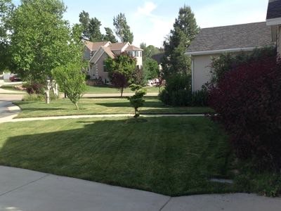 Foto del edificio - 12481 S Allison Pk Ct