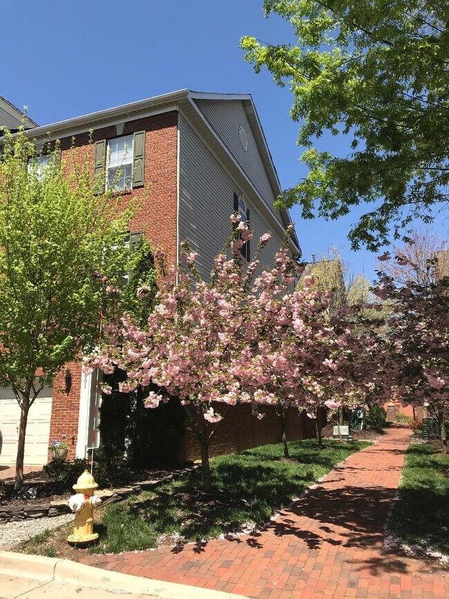 Foto del edificio - 5001 Waple Ln
