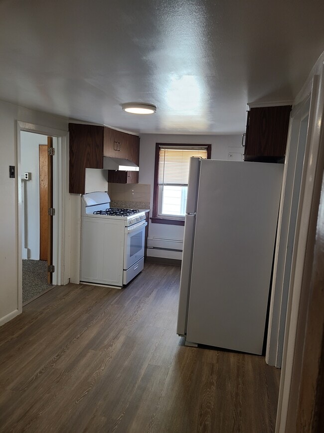 Kitchen view from front door - 131 Depeyster St