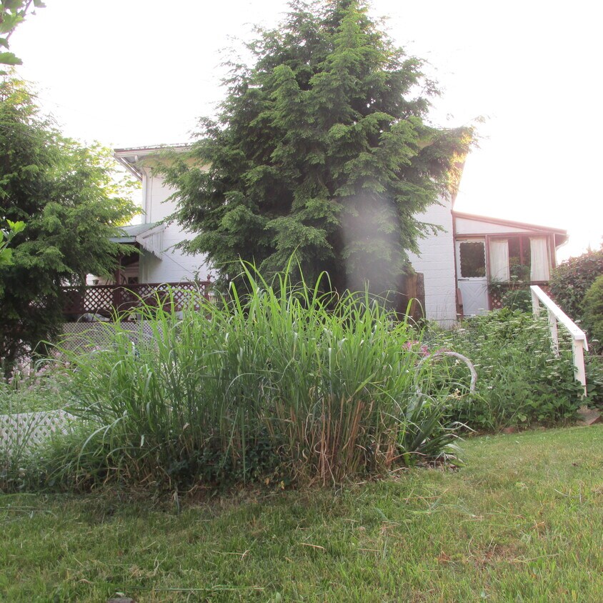Primary Photo - 15 Fisher St