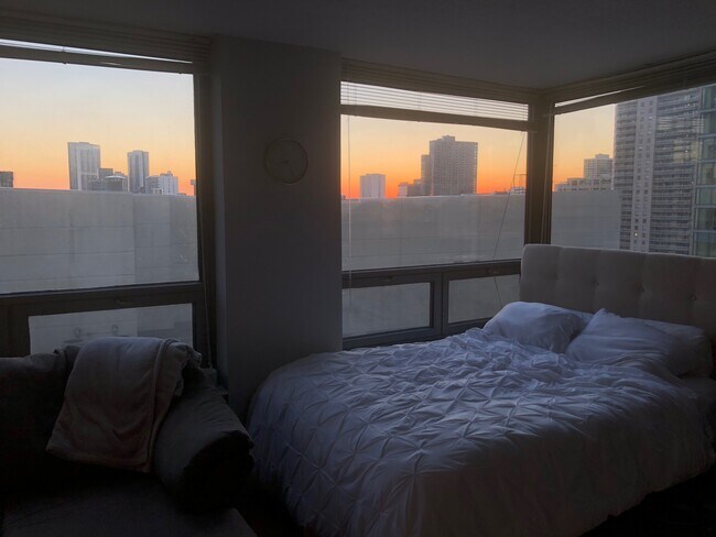 Skyline View - 440 N Wabash Ave