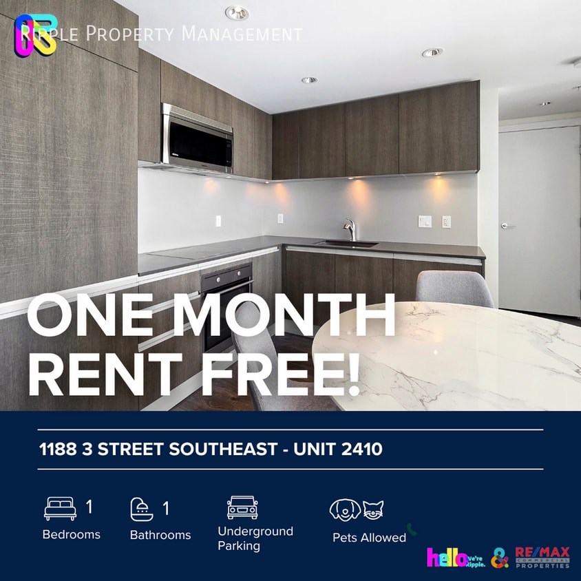 Primary Photo - Fantastic 1 Beds, 1 Baths Apartment/Condo ...