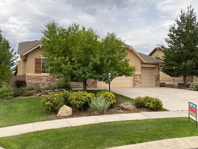 Building Photo - 4 Bedroom Home Available Near Briargate Pk...