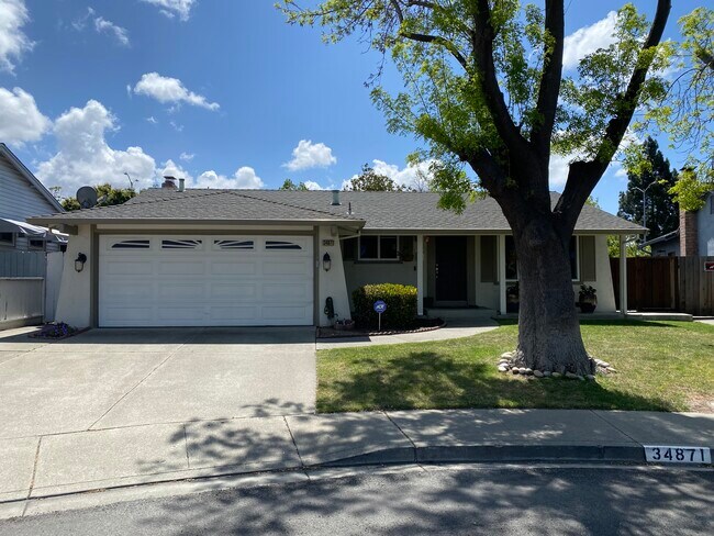 Building Photo - 34871 Gladstone Pl