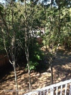 Foto del edificio - 2 br, 1 bath House - 5441 25th Avenue SW