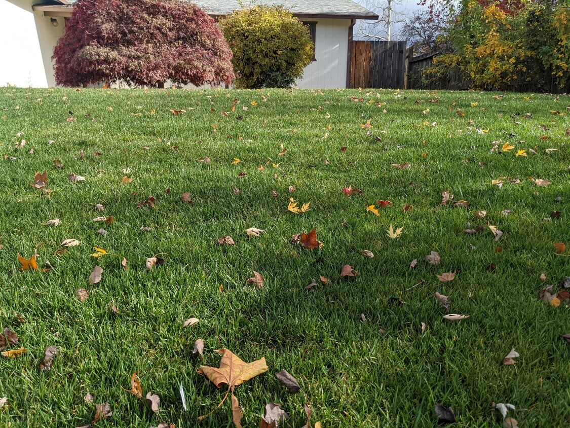 Foto principal - 3096 Circle Wood Dr