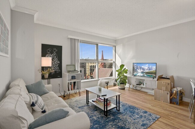 Great light - open and bright living area - 777 7th St NW