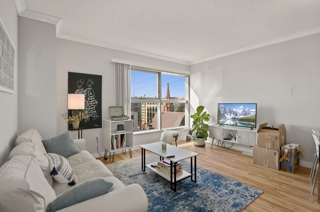 Great light - open and bright living area - 777 7th St NW