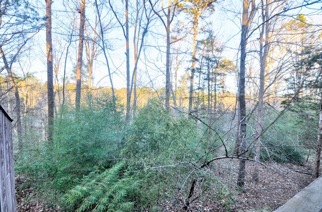 Foto del edificio - Conveniently located Carrboro 3 bed/2.5 ba...