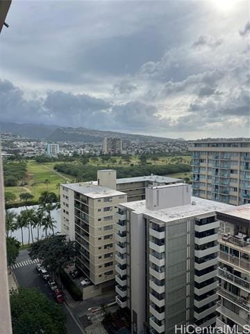 Building Photo - 431 Nahua St