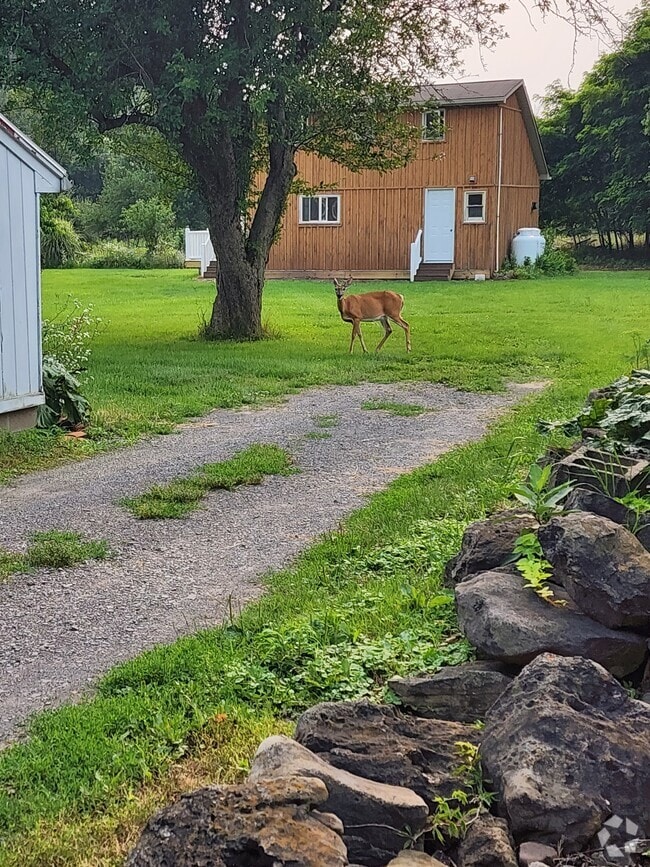 Apartments For Rent in Brockport, NY 86 Rentals