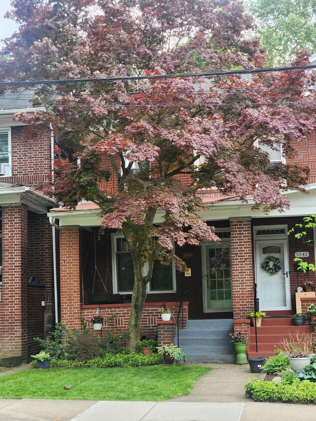 Primary Photo - 5544 Wilkins Ave