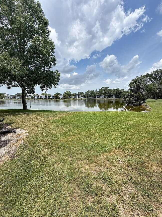 Foto del edificio - 217 Woodlake Wynde