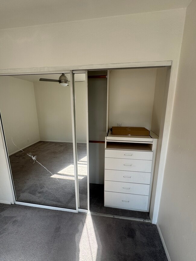 Closet - 827 Venezia Ave