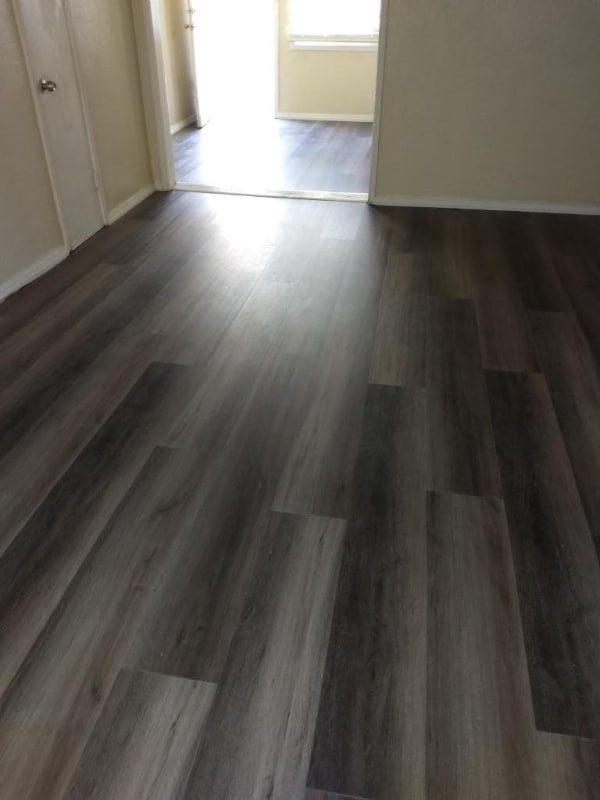 Photo - 323 W Magnolia St Apartment