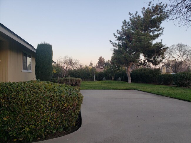 Front Driveway - 4589 E Alamos Ave