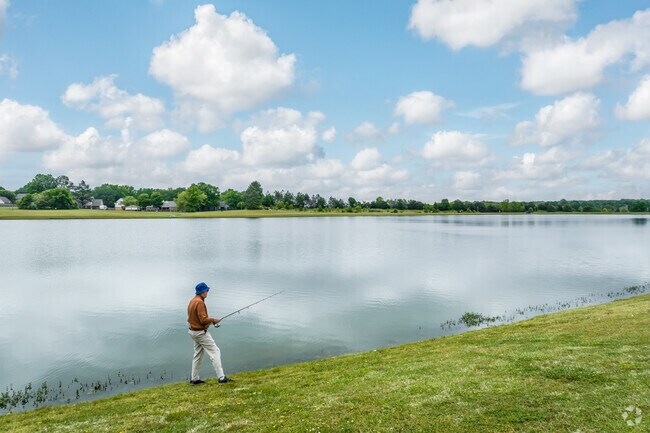 Take a moment to see if the fish are biting at Halle Park in Collierville.