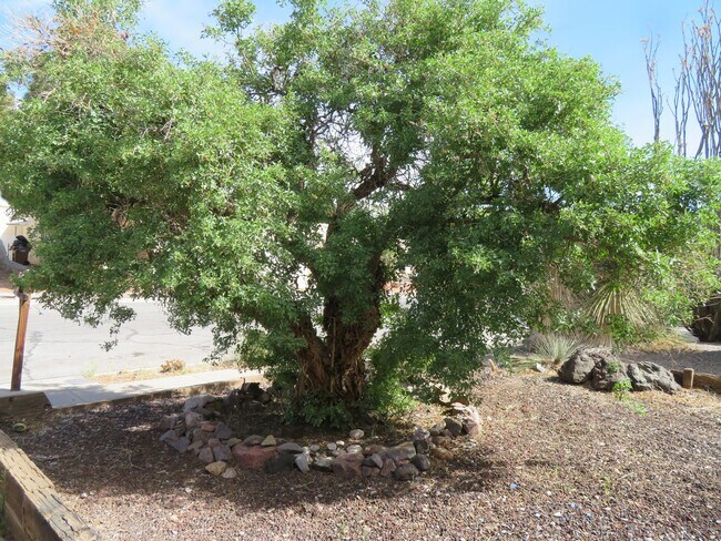 Foto del edificio - Clean 3 Bedroom 2 Bath Home For Rent