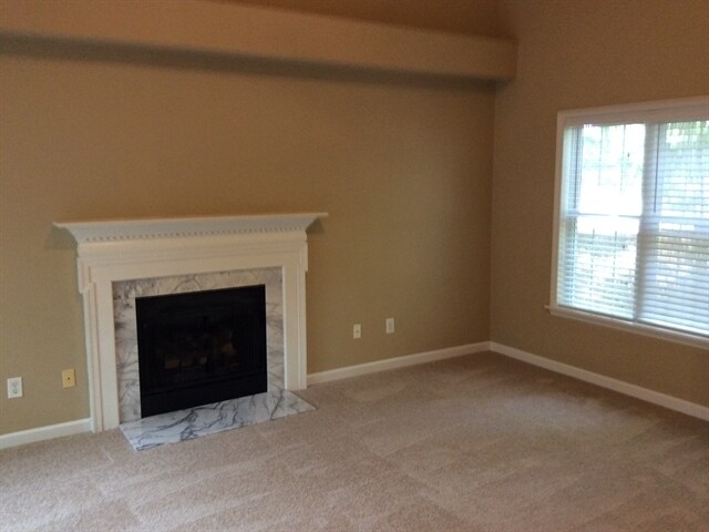 Building Photo - 1206 Ventura Springs Court