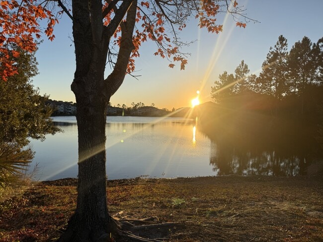 Foto del edificio - 210 Bottlebrush Walk