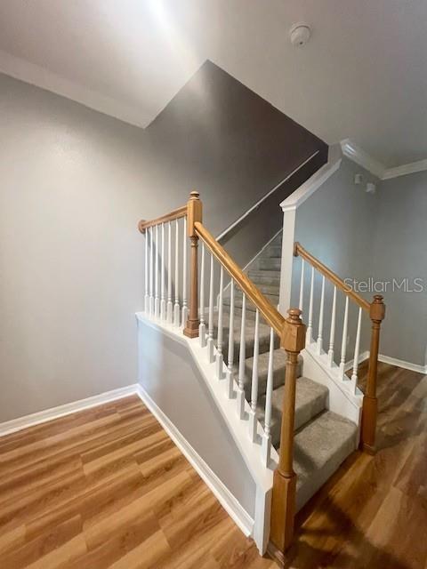 Building Photo - 8153 Stone Leaf Ln