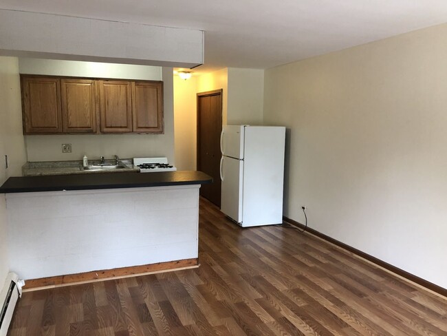 Building Photo - Light  Bright Studio Apartment in Elgin