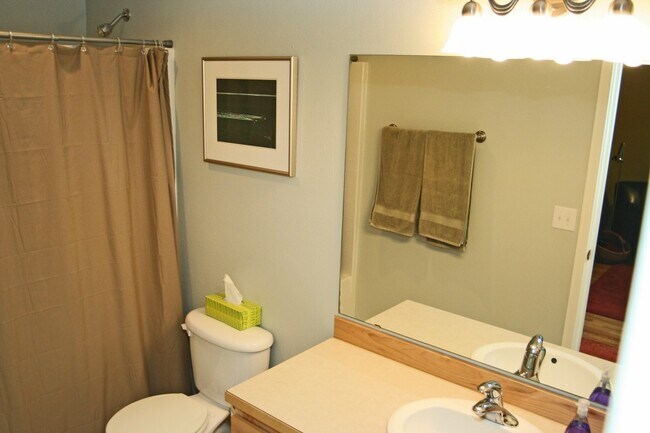 Building Photo - 14 Little Palomino Ct