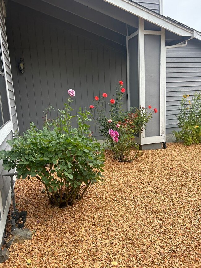 Foto del edificio - COMING SOON!! Gorgeous 4 bed 3 bath home l...