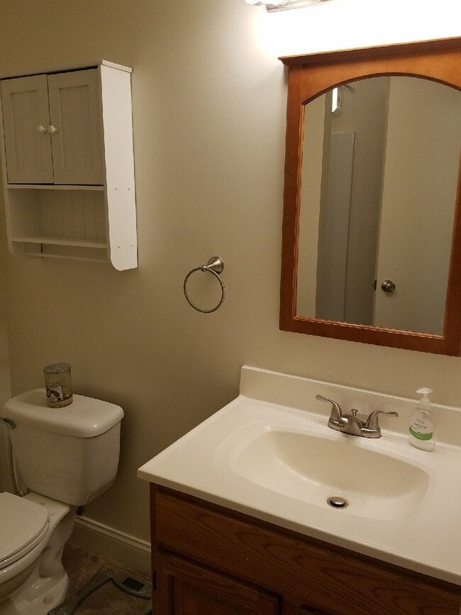 bathroom - 318 East Patrick Street