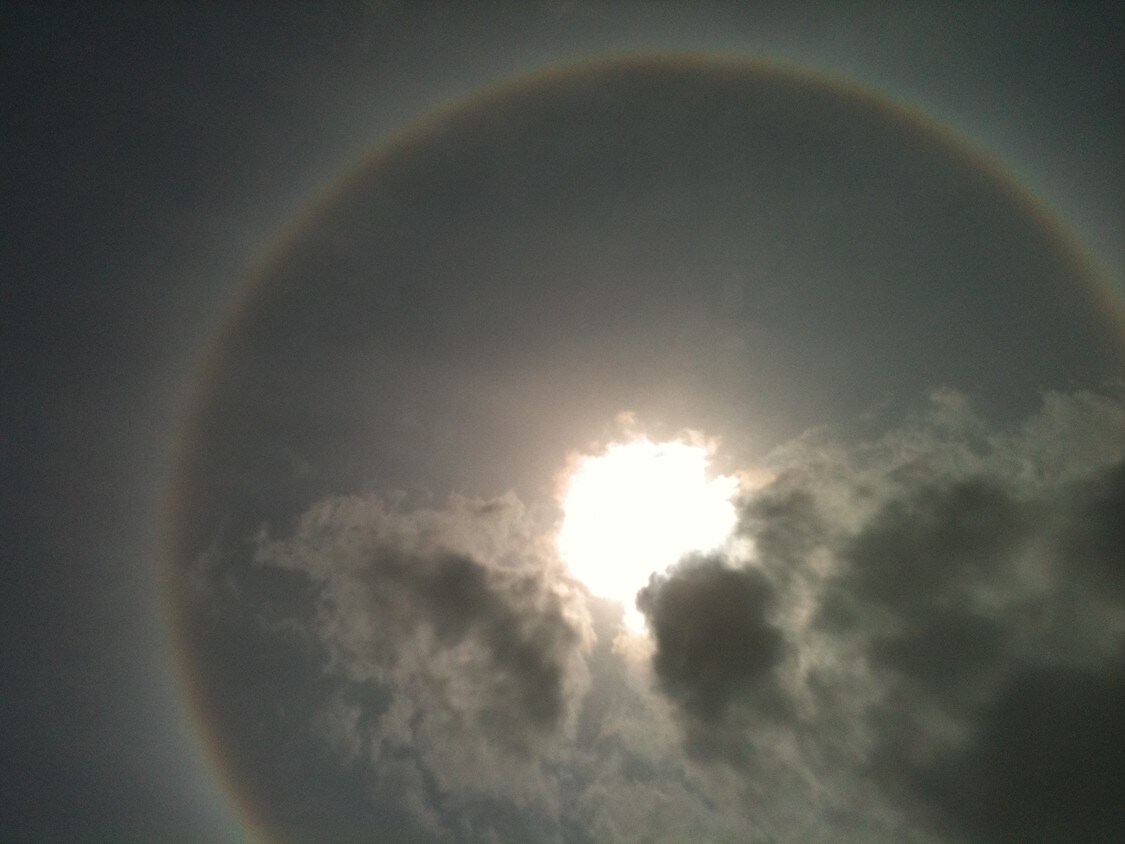 206 N Montevideo Ave, Edinburg, TX 78541 Condo for Rent in Edinburg