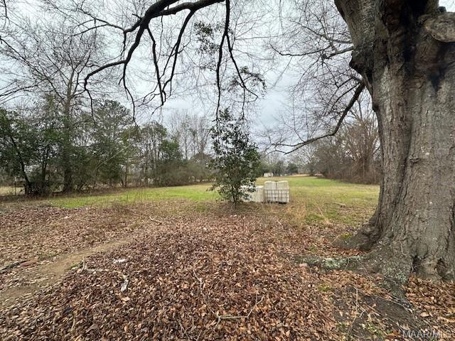 Foto del edificio - 416 St James Church Loop