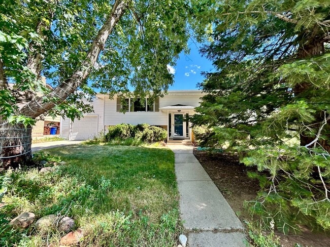 Building Photo - 4 Bedroom Home with Large Backyard in Sout...