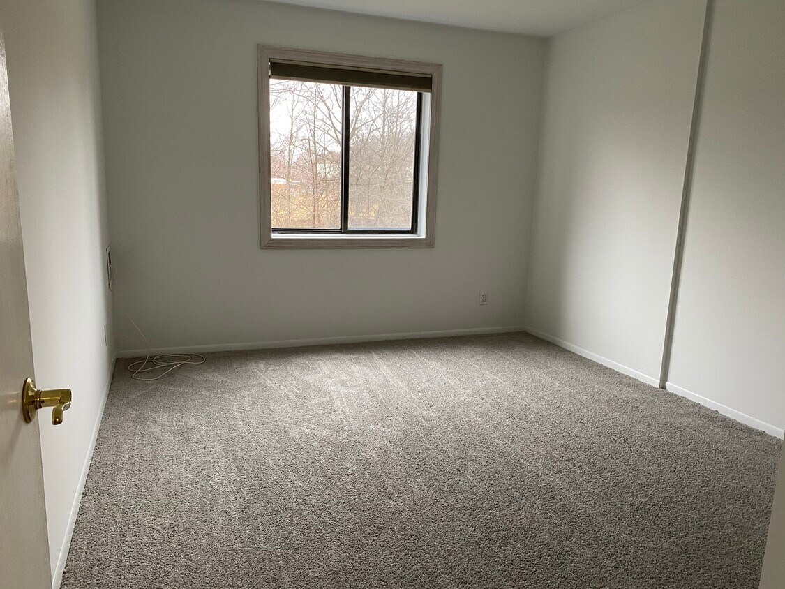 Bedroom new carpet - 27453 Westown Blvd