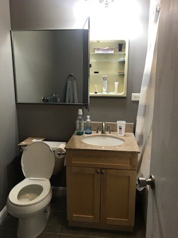 Bathroom - 1355 N Sandburg Ter