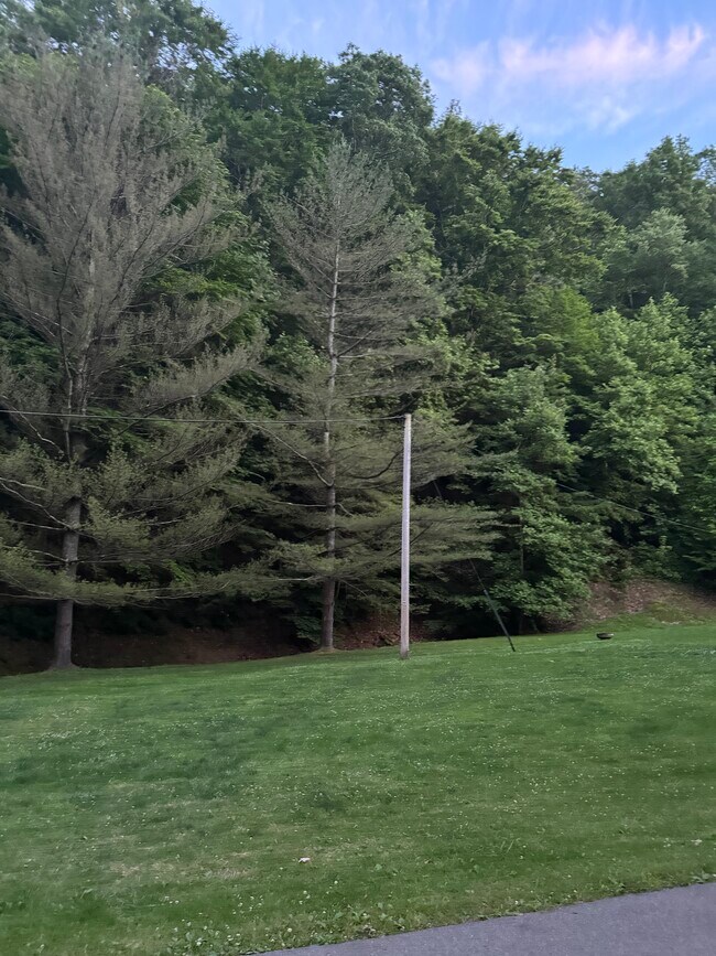 Foto del edificio - 536 Whitley Ln