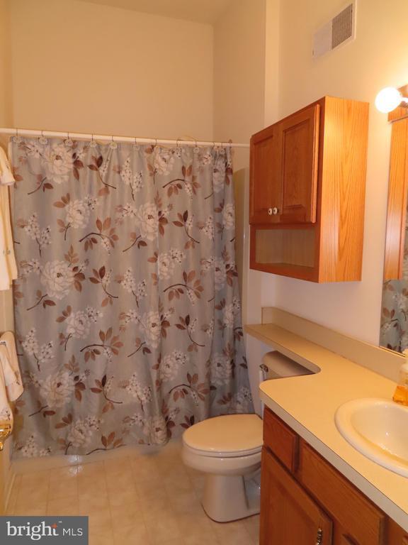 Building Photo - 955 Geyer Dr