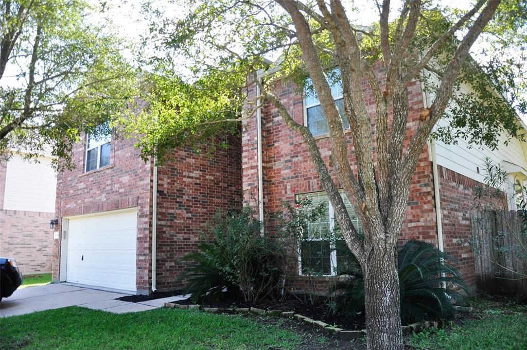 Foto principal - 26423 Kingspur