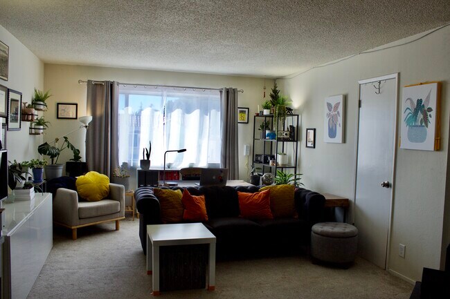 Living Room - 3466 Paxton Ave