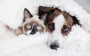 Building Photo - 3657 Cathedral Cove Rd