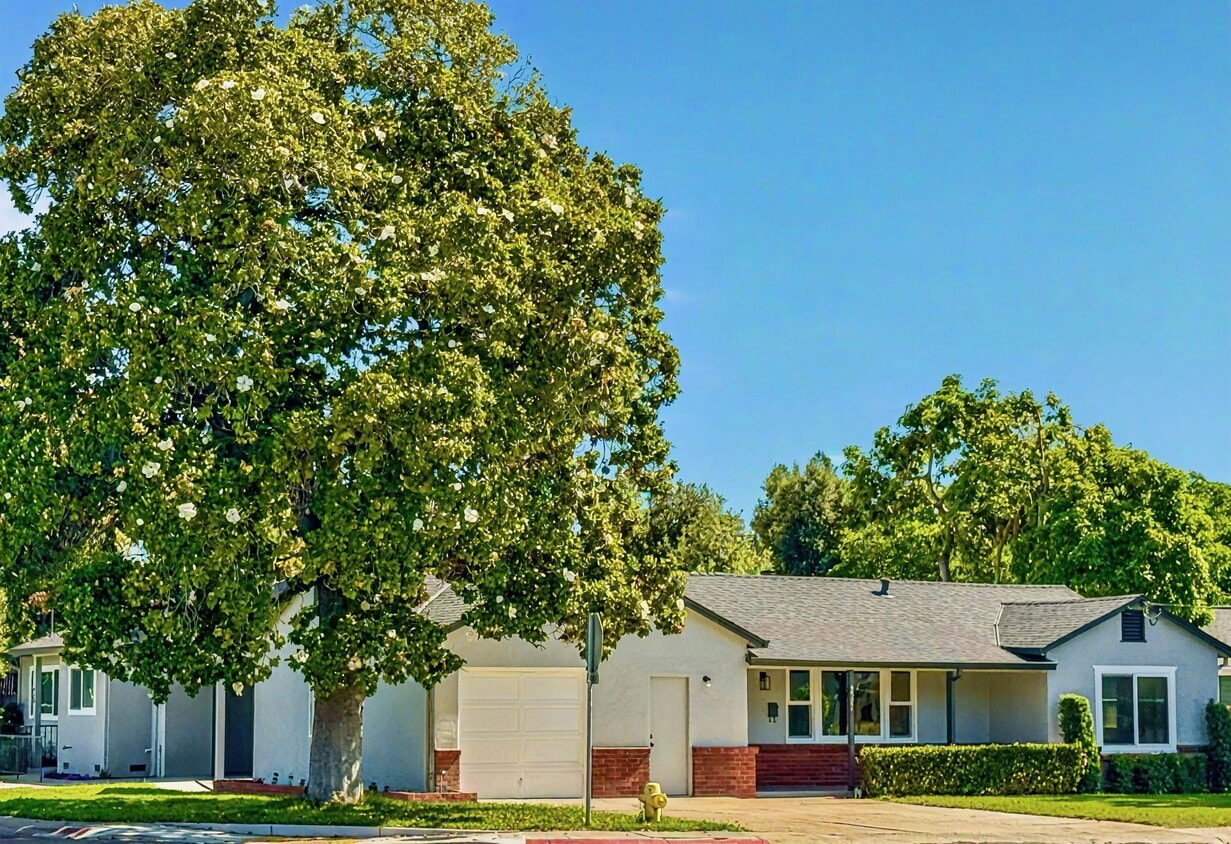 Primary Photo - 2597 Maywood Ave