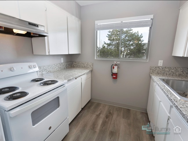 Foto del edificio - CUPID’S CONCESSION, 4-WEEKS RENT FREE!