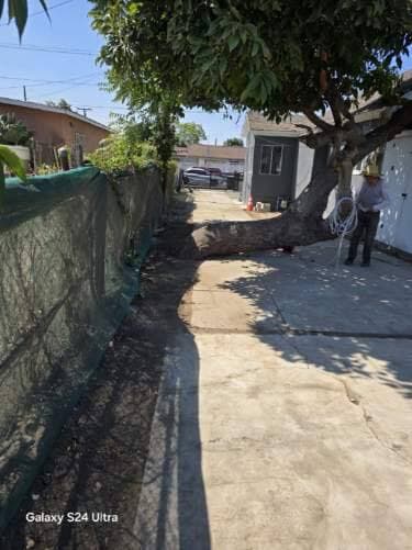 Back Yard - 2063 E 130th St