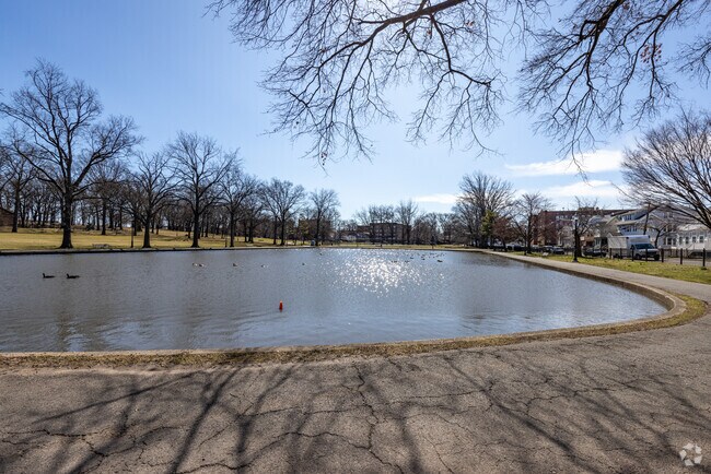 Ground view of lake