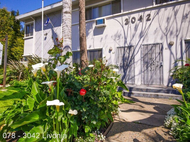 Foto del edificio - 3042 Livonia Ave