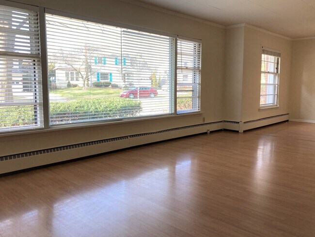 View from Living Room - 459 Clifden Dr